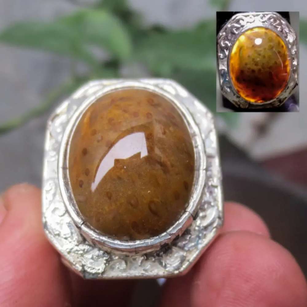 10 Batu Fosil Kayu Termahal Beserta Harganya 8