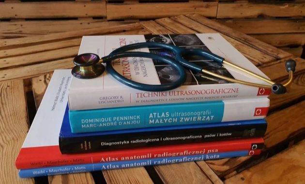 Catat, Ini Dia 10 Referensi Toko Alat Kesehatan di Sekitar BSD 1 Catat, Ini Dia 10 Referensi Toko Alat Kesehatan di Sekitar BSD 1