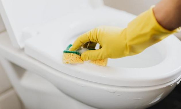 10 Rekomendasi Jasa Sedot WC Pilihan di Daerah Purbalingga Jawa Tengah Dengan Biaya Terjangkau 1