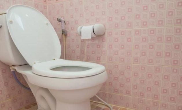 10 Jasa Sedot WC di Wilayah Kota Banyuwangi Dengan Harga Mulai Dari Rp.80 Ribu Saja Per Strip 2