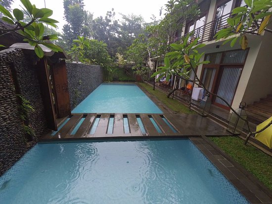 Daftar Villa Private Pool di Anyer dan Sekitarnya Dekat Pantai Untuk Liburan Mulai Rp512.000 Per Malam 10 Daftar Villa Private Pool di Anyer dan Sekitarnya Dekat Pantai Untuk Liburan Mulai Rp512.000 Per Malam 10