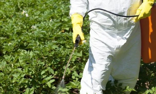 Mau Hasil Panen Banyak dan Berkualitas? 10 Rekomendasi Toko Pertanian di Pekanbaru Ini Jawabannya 2 Mau Hasil Panen Banyak dan Berkualitas? 10 Rekomendasi Toko Pertanian di Pekanbaru Ini Jawabannya 2