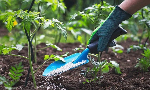 10 Daftar Pilihan Toko Pertanian Favorit di Wilayah Makassar, Solusi Agar Petani Menjadi Sukses 4 10 Daftar Pilihan Toko Pertanian Favorit di Wilayah Makassar, Solusi Agar Petani Menjadi Sukses 4