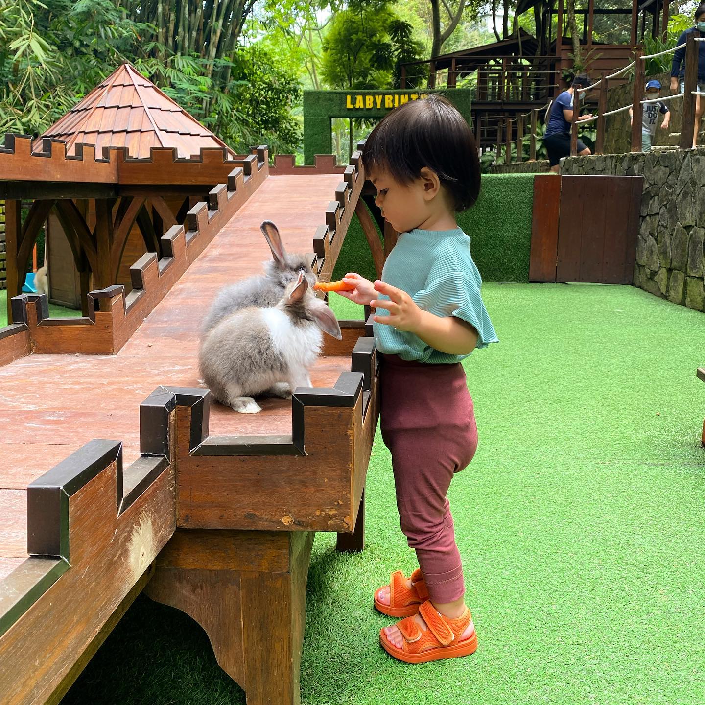 10 Potret Padma Hotel Bandung, Penginapan Mewah Yang Nyaman di Tengah Pepohonan Rimbun 7