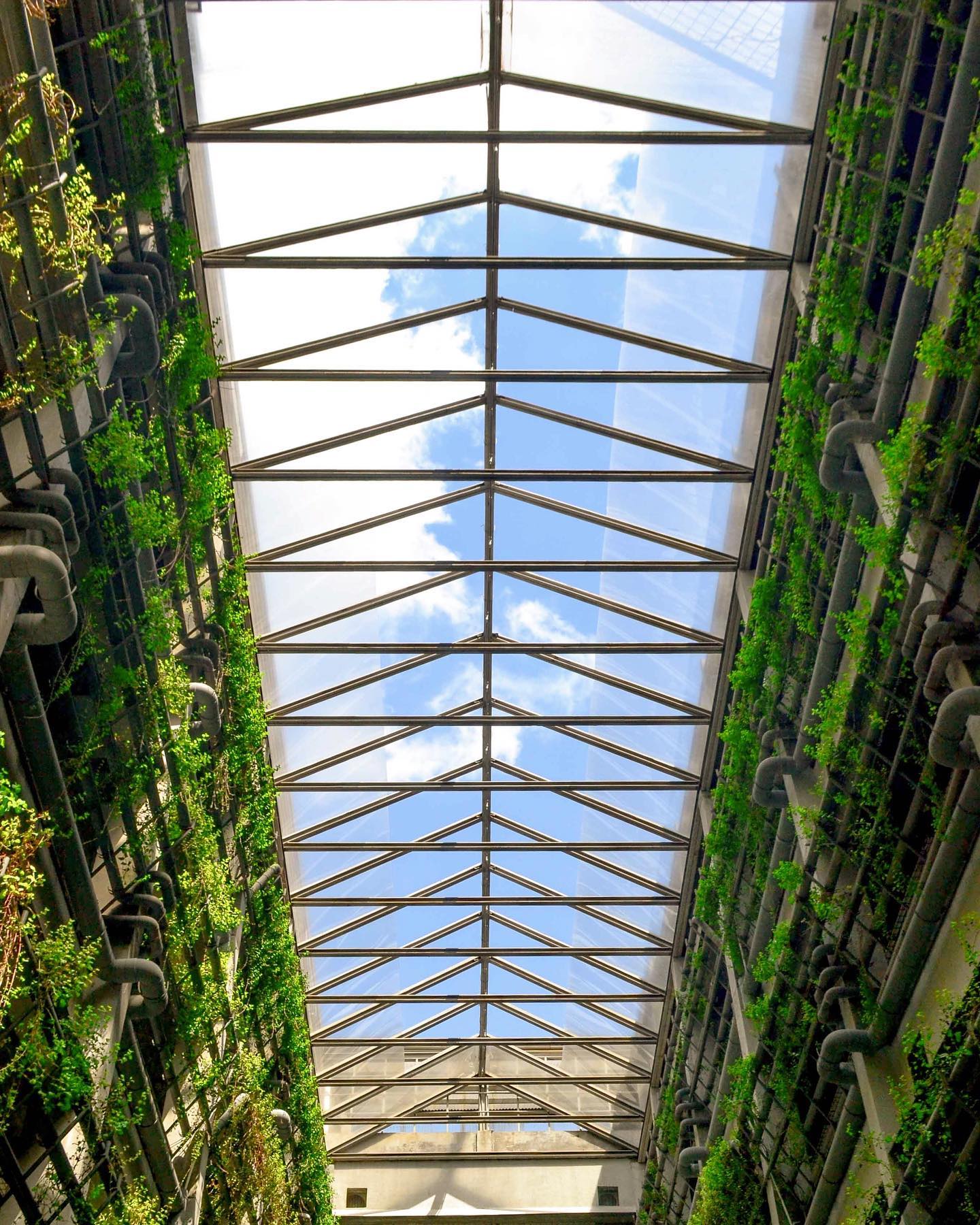 Greenhost Hotel Jogja, Akomodasi Estetik Yang Mengusung Konsep Go Green Dengan Nuansa Industrial 2 Greenhost Hotel Jogja, Akomodasi Estetik Yang Mengusung Konsep Go Green Dengan Nuansa Industrial 2