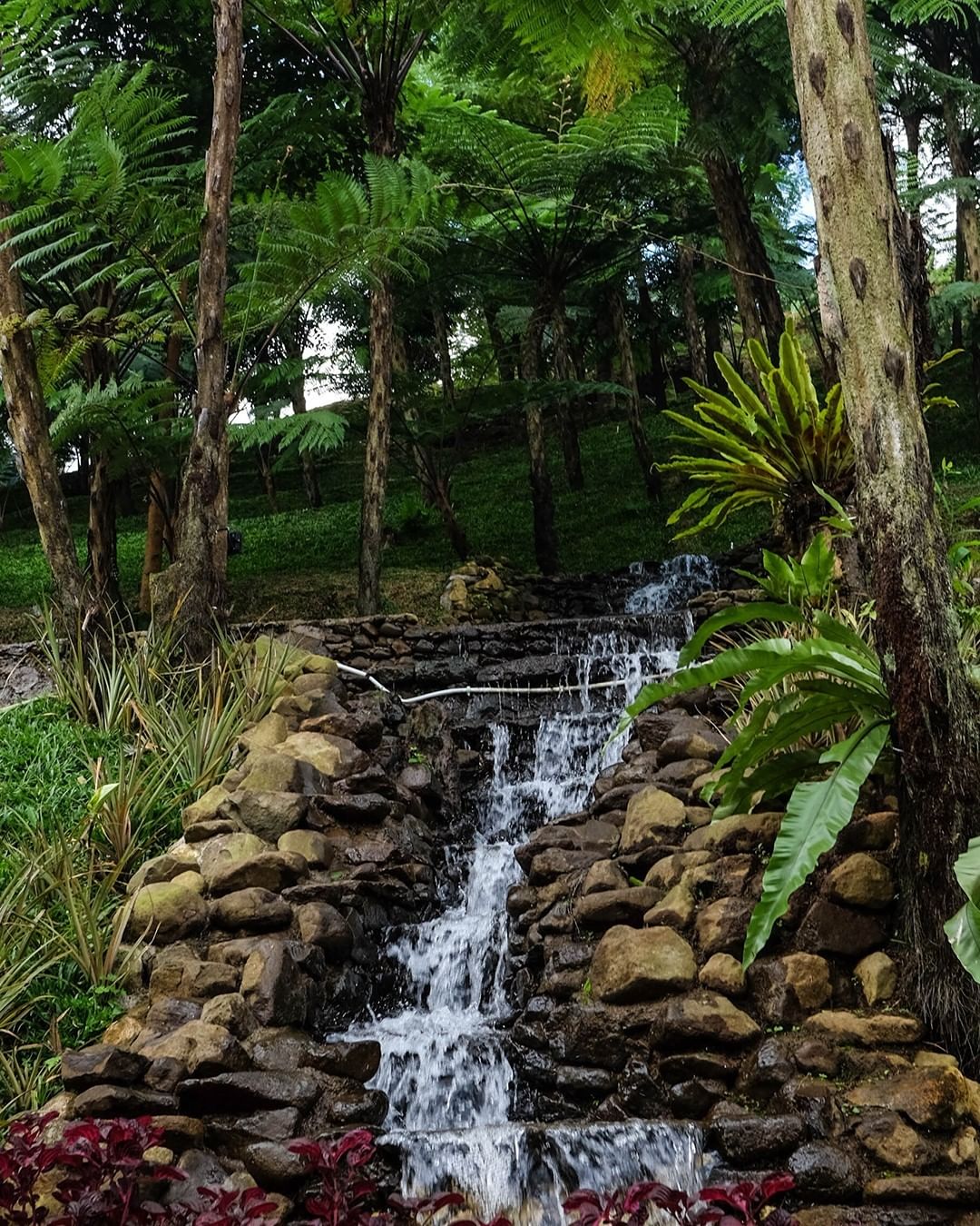 10 Potret Damar Langit, Resort yang Menyediakan Pemandangan Glamping Terindah di Puncak Bogor 9