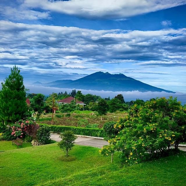 Padi Resort, Penginapan Cantik Dengan Pemandangan Menakjubkan Yang Tidak Jauh Dari Ibukota 3 Padi Resort, Penginapan Cantik Dengan Pemandangan Menakjubkan Yang Tidak Jauh Dari Ibukota 3