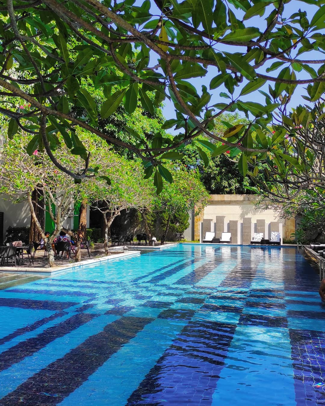 The Victoria Hotel Yogyakarta, Akomodasi Yang Asri dan Tenang Dengan Fasilitas Kolam Renang 7