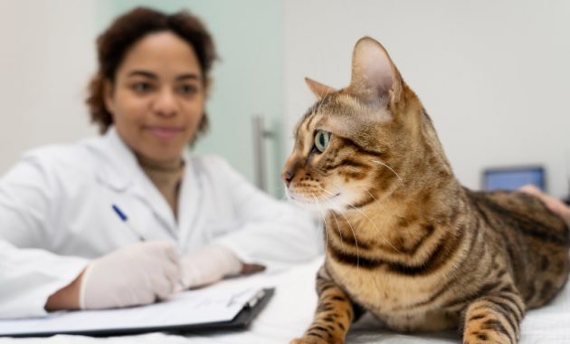 Ini Dia 10 Daftar Dokter Hewan Terbaik di Kota Malang Yang Terjangkau dan Siap Membantu Kamu 1