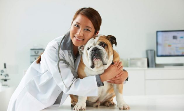 10 Dokter Hewan di Samarinda Yang Bisa Kamu Andalkan Dalam Pemenuhan Kesehatan Peliharaan 1