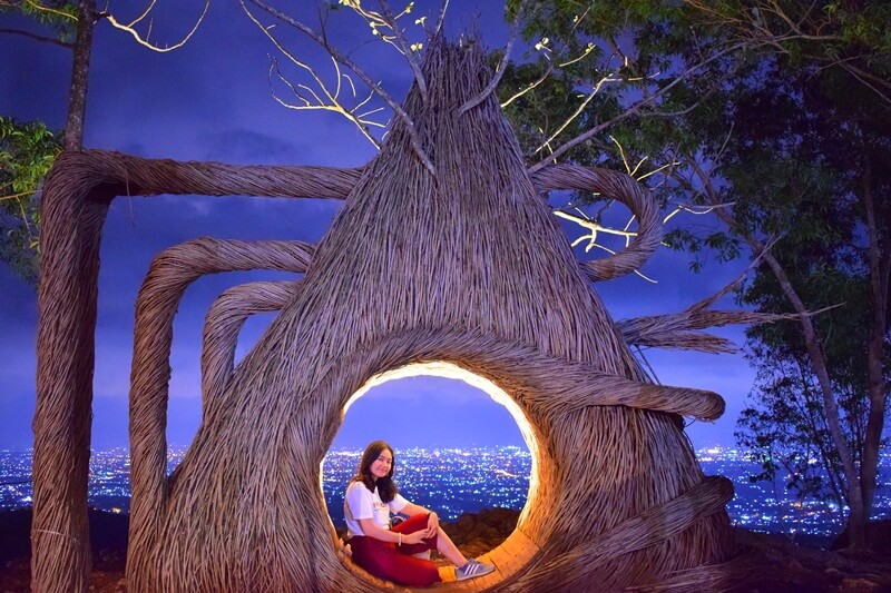 Wisata Alam Hutan Pinus Pengger: Panduan Lengkap untuk Keluarga, Sahabat, dan Pasangan Romantis 1 hutan pinus pengger