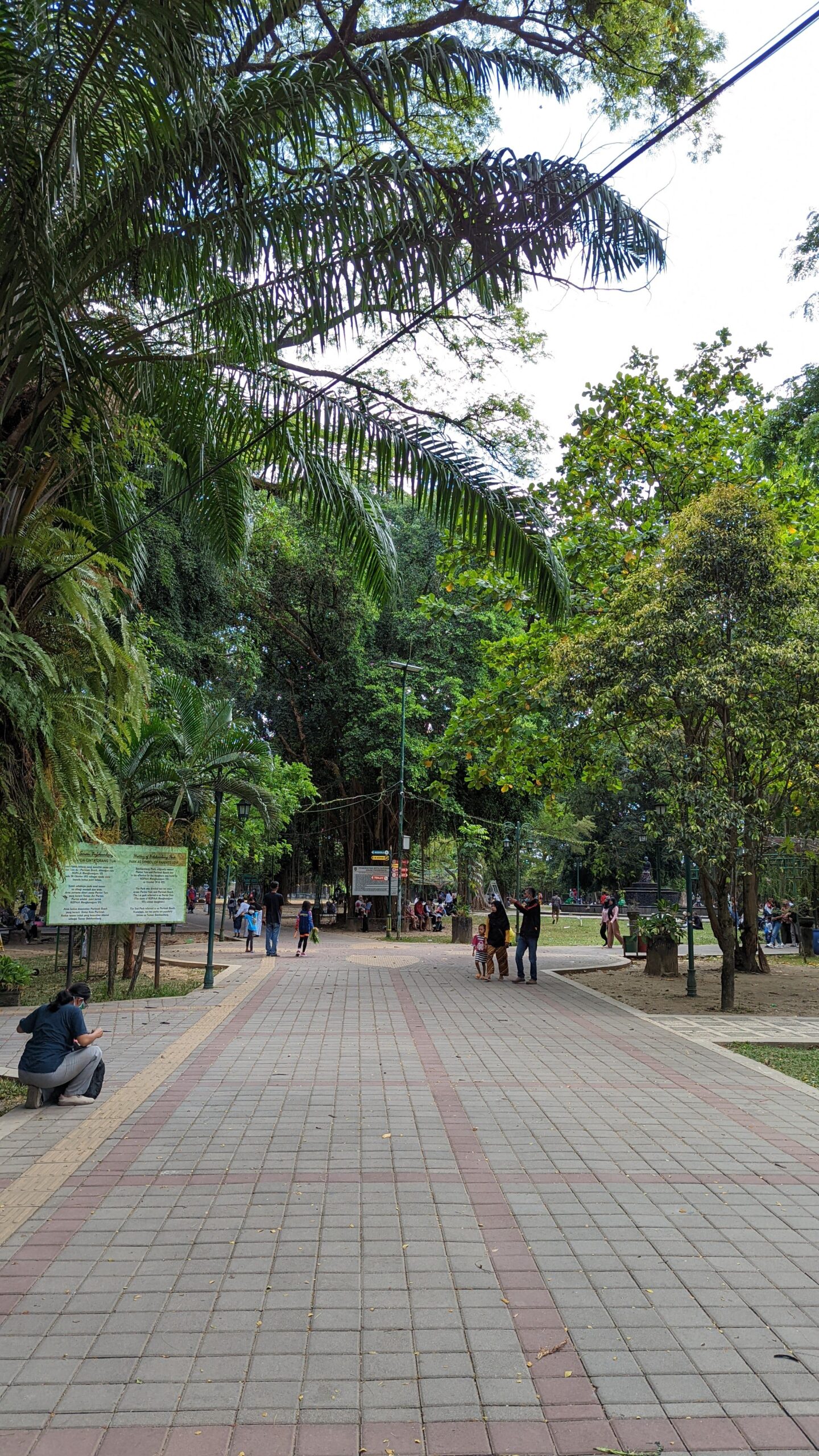 Jalur rindang Taman Balekambang Solo untuk jalan santai keluarga