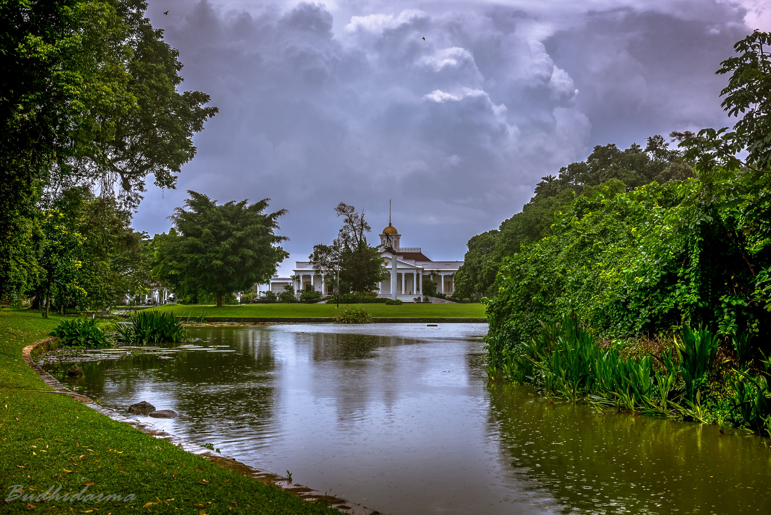 Suasana hijau Kebun Raya Bogor