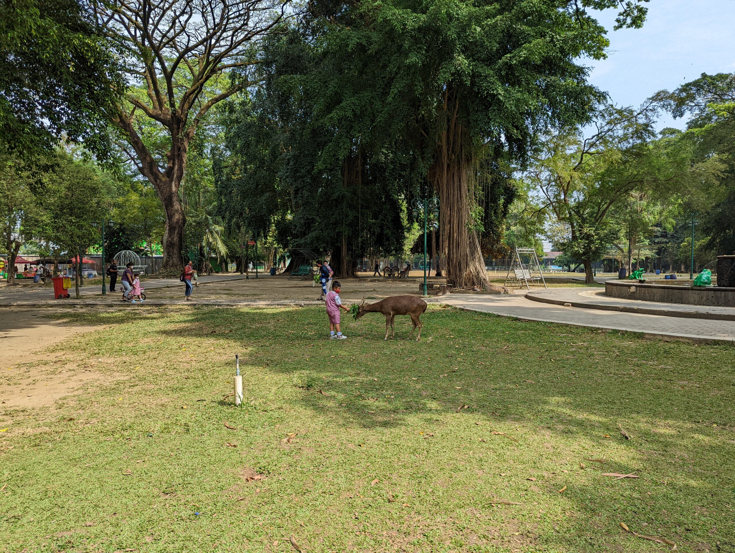 Suasana Taman Balekambang Solo untuk aktivitas keluarga