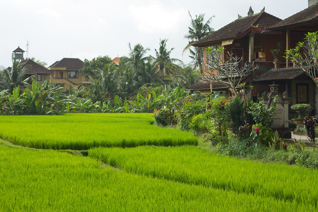 hotel keluarga lembang dekat dusun bambu