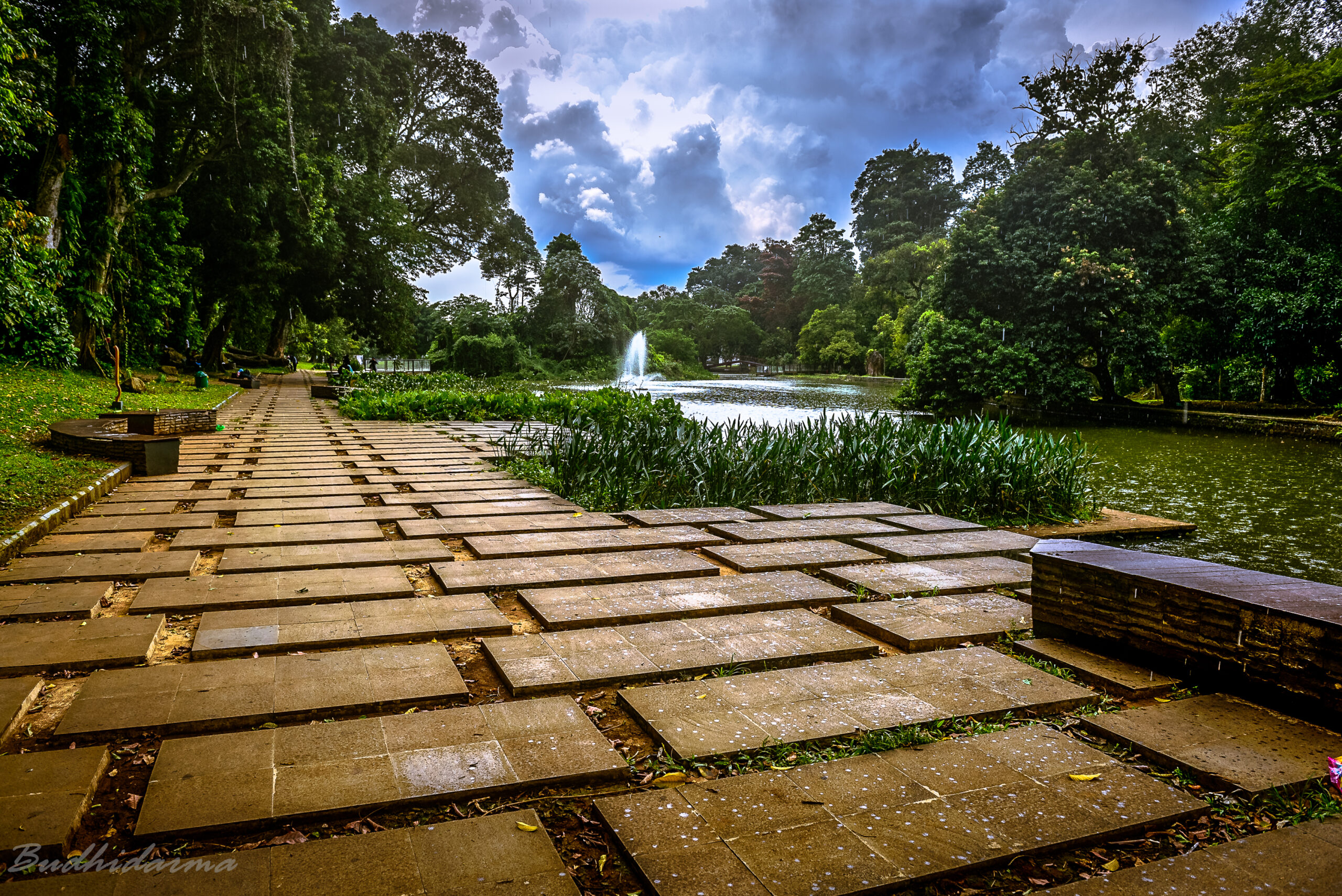 Area hijau Kebun Raya Bogor untuk wisata keluarga